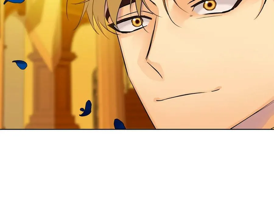 第34话 正式告白 第215页