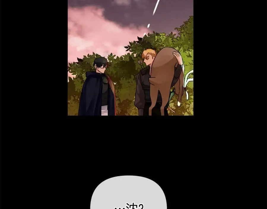 第21话 陛下的计划 第96页