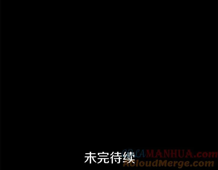 第24话 一切都是谎言吗 第209页