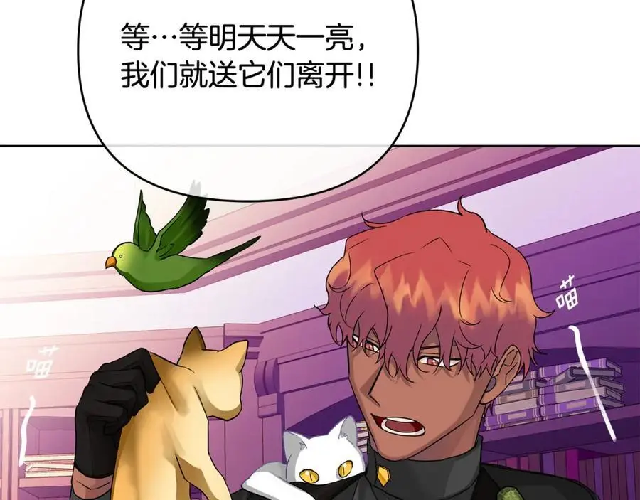 第31话 宠物收容中心 第68页