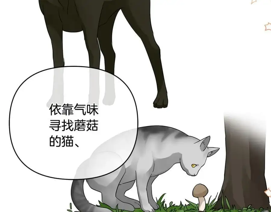第31话 宠物收容中心 第96页