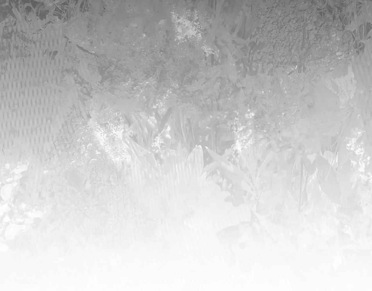 第21话 年少的初遇 第99页