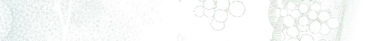 第28话 妻子的义务 第143页