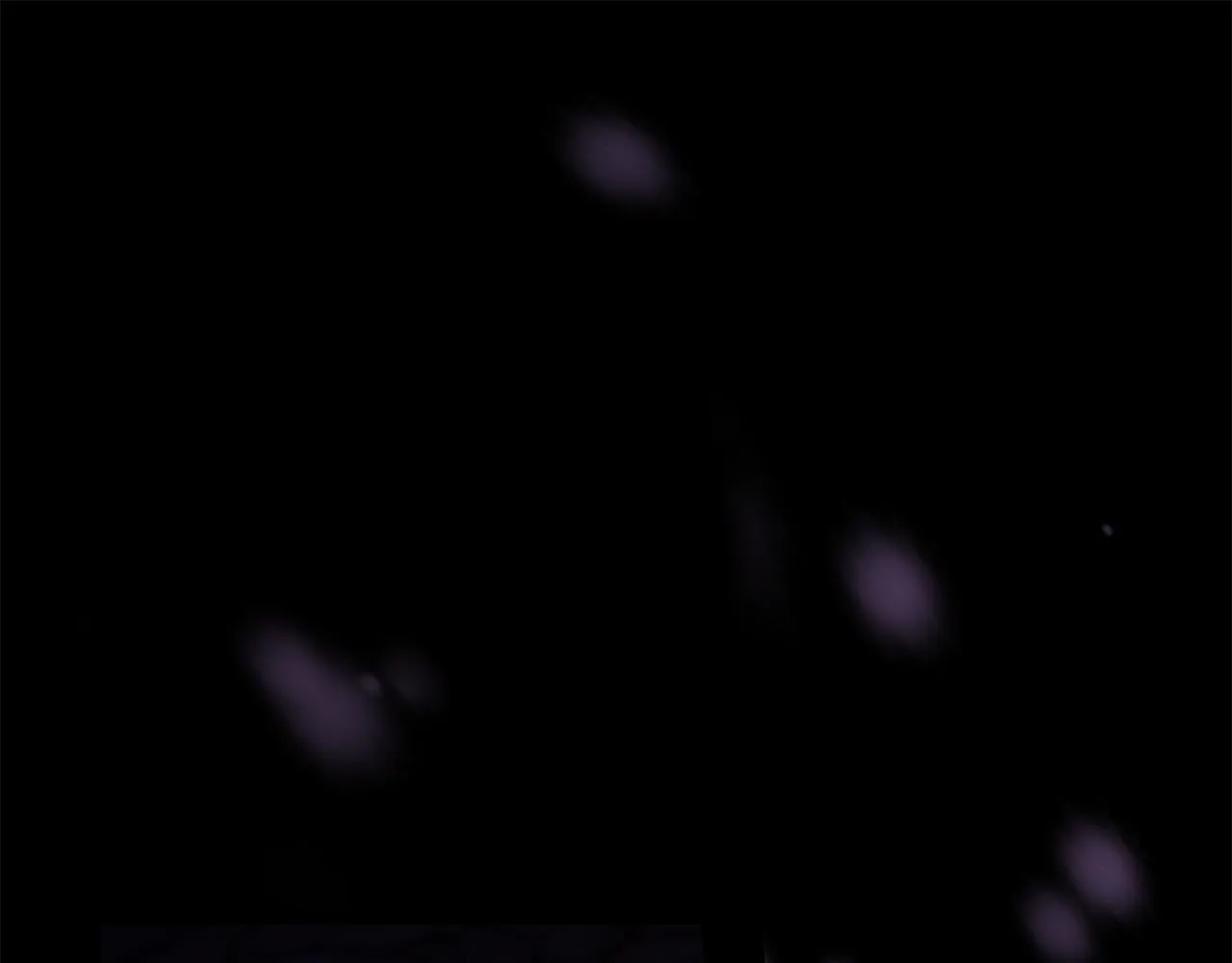 第77话 缠绵 第1页