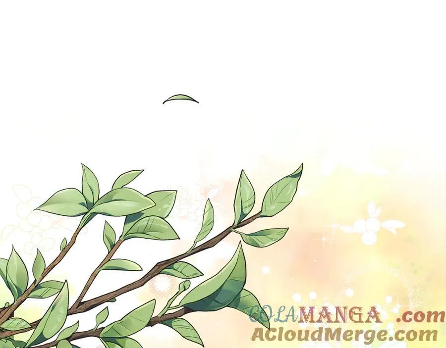 第65话 缔结契约 第13页