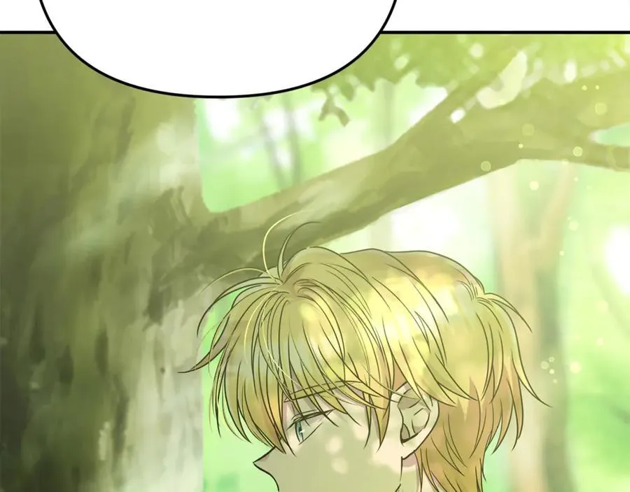 第65话 缔结契约 第42页