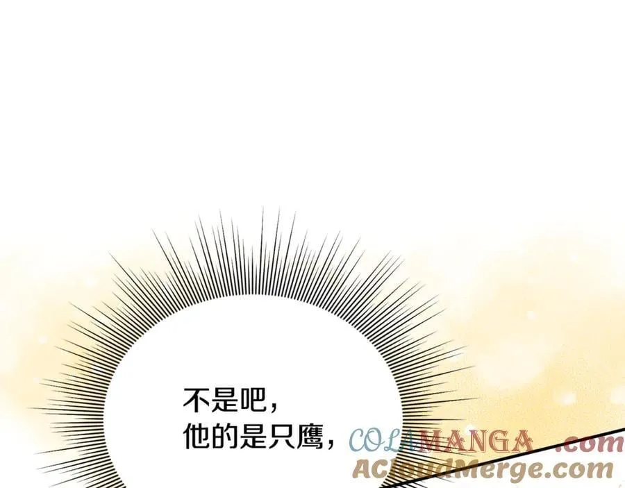 第65话 缔结契约 第185页