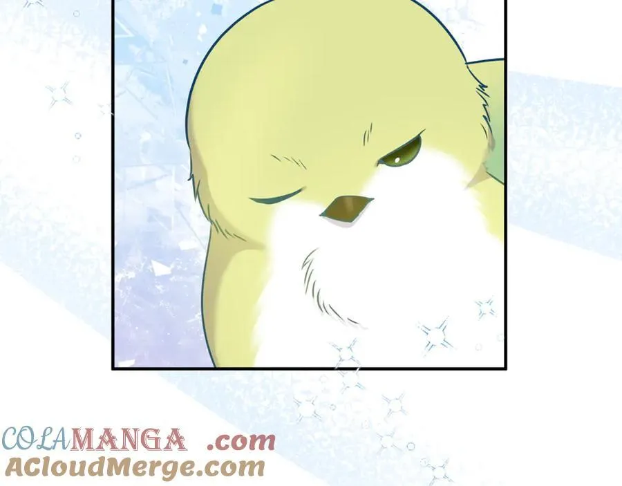 第65话 缔结契约 第209页