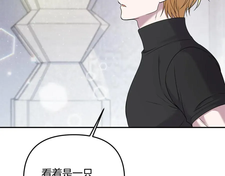 第66话 废物精灵王 第22页