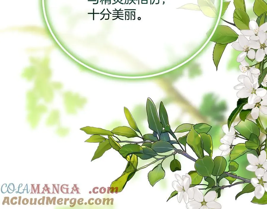 第66话 废物精灵王 第229页
