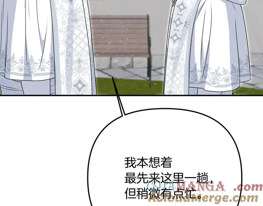 第74话 胸针的意义 第13页