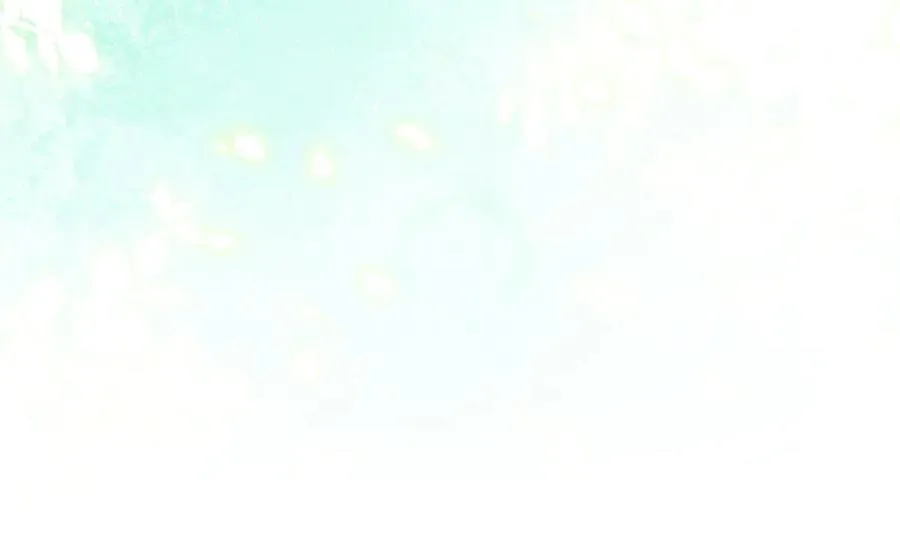 第74话 胸针的意义 第35页