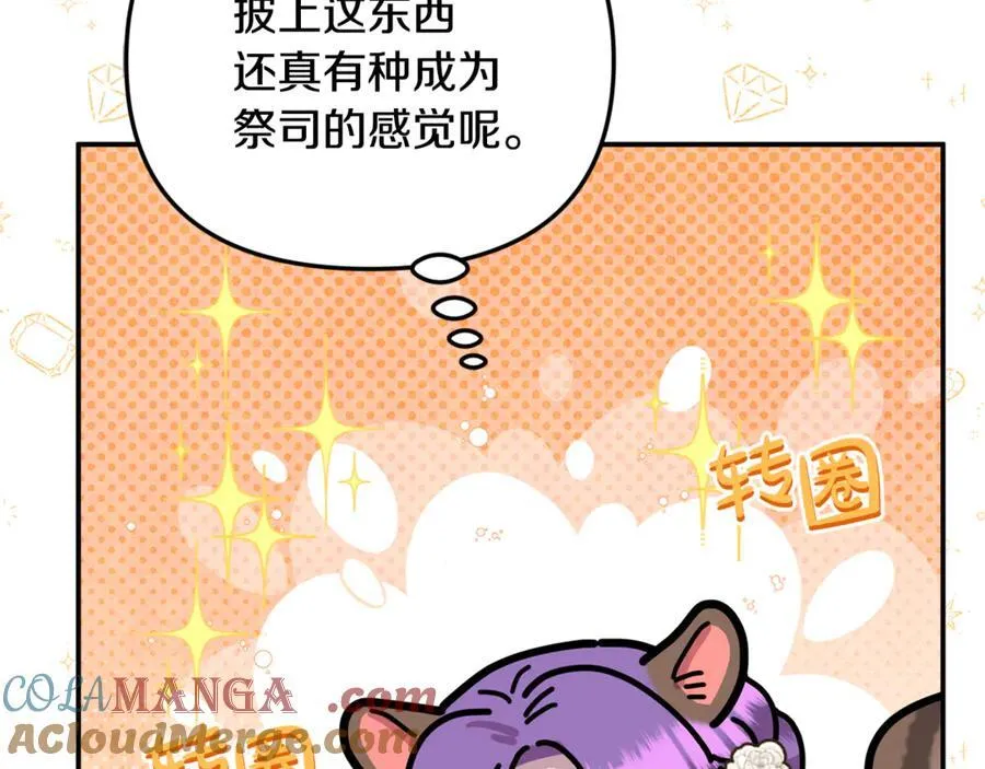 第74话 胸针的意义 第141页