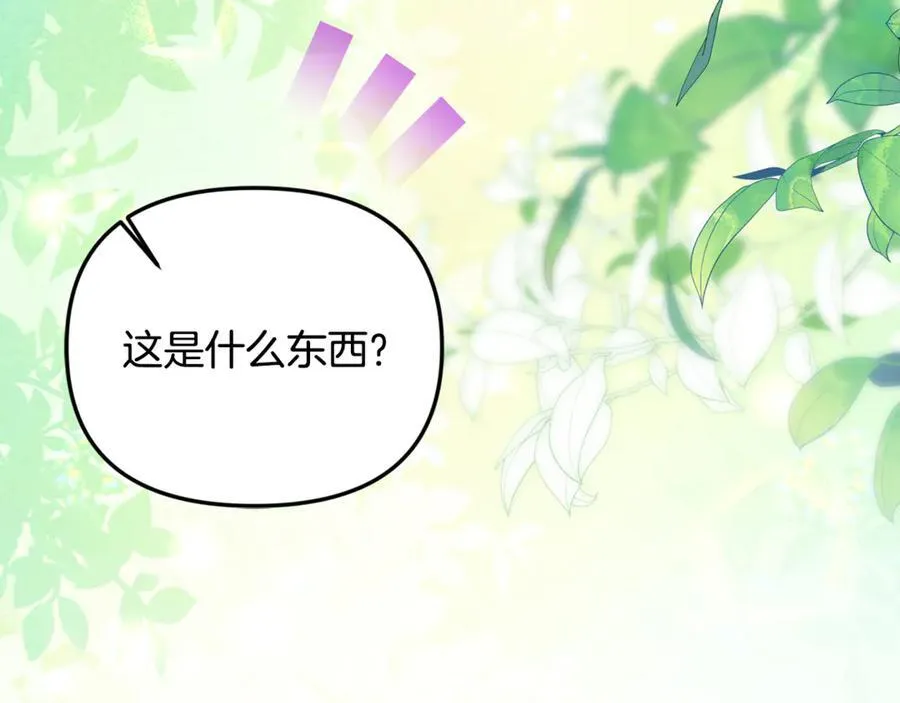 第74话 胸针的意义 第150页