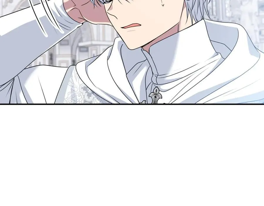 第74话 胸针的意义 第176页