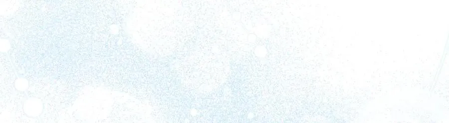 第74话 胸针的意义 第211页