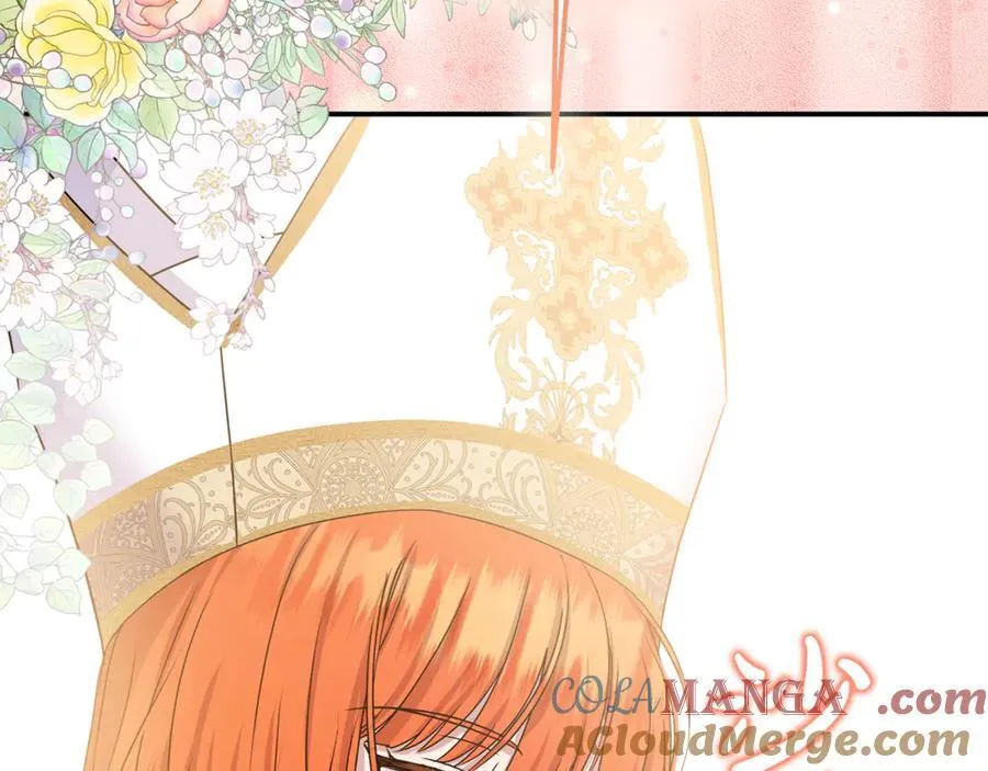 第87话 教皇登场 第117页