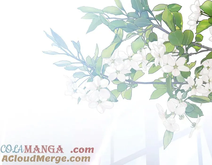 第87话 教皇登场 第145页