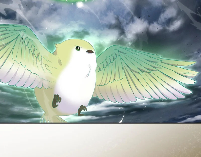 第117话 无能为力了吗？ 第217页