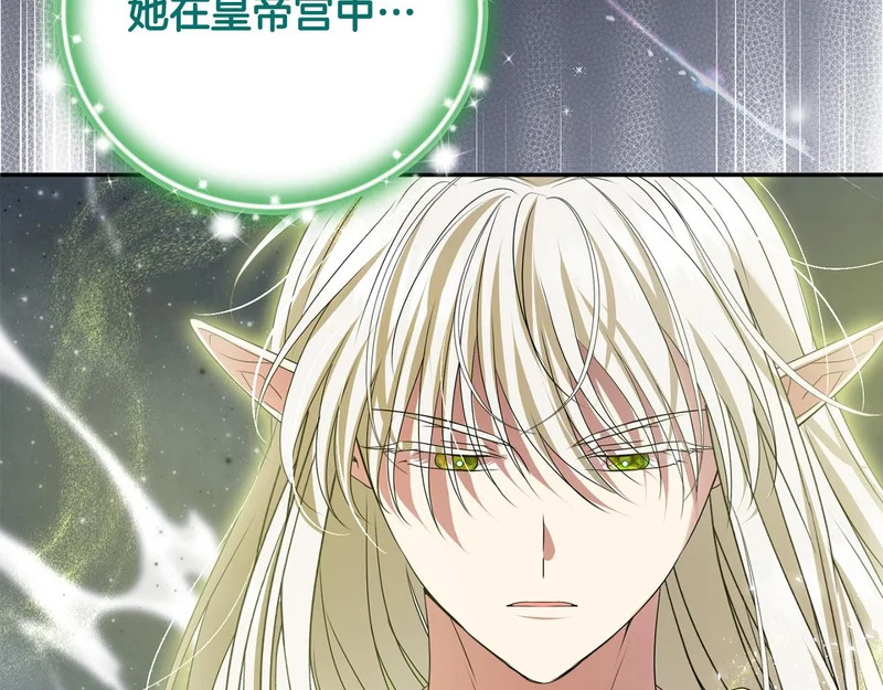 第119话 借助神力 第162页