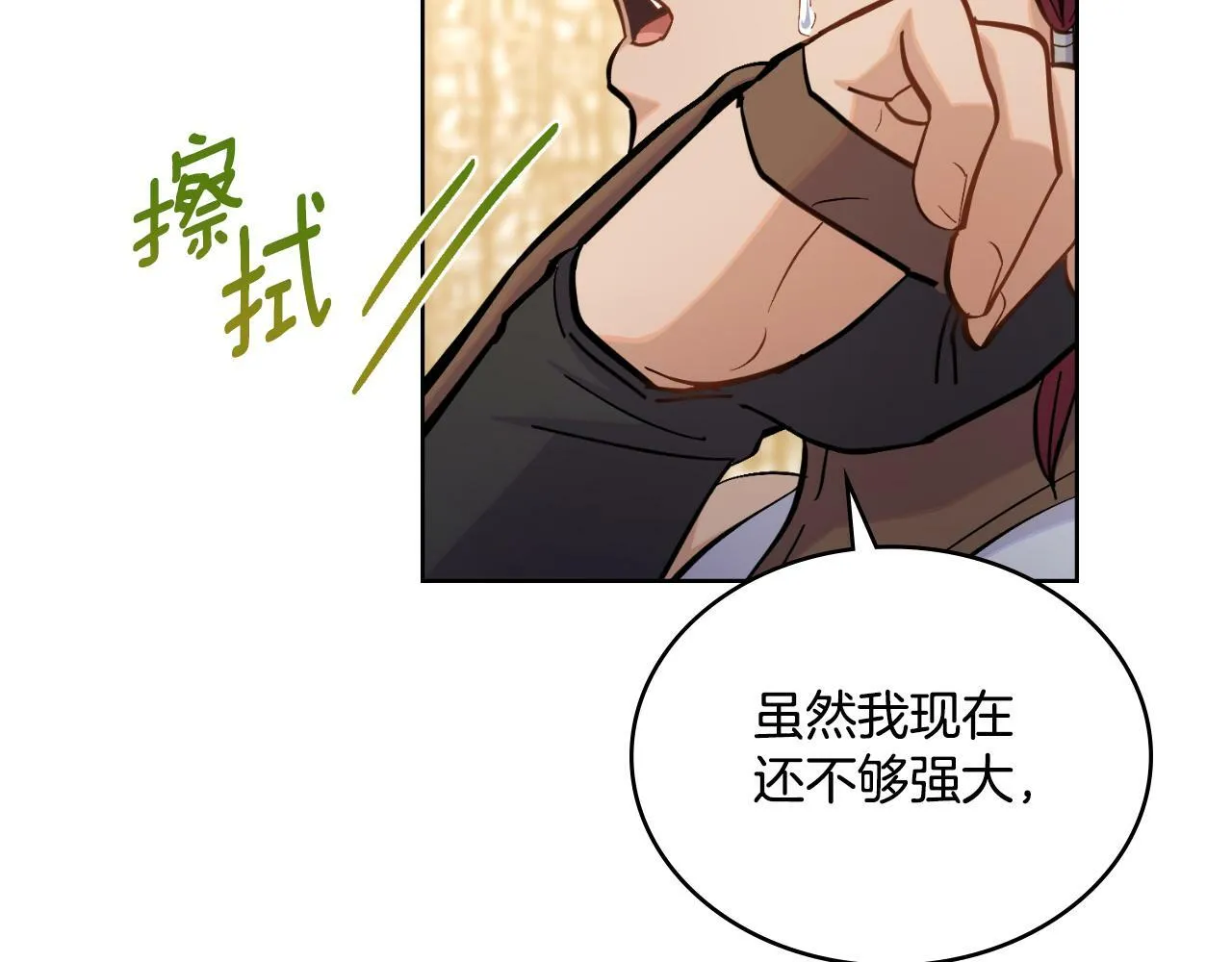 第21话 守护骑士 第106页
