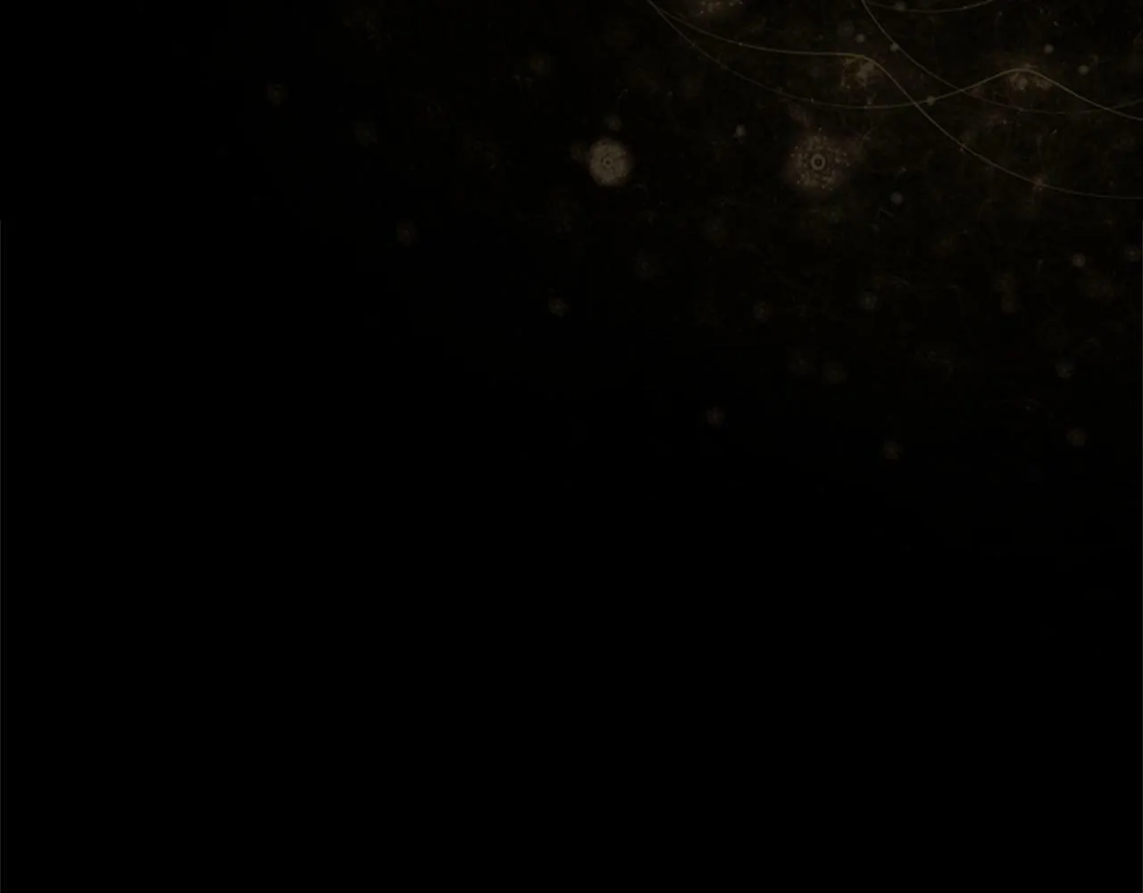 第13话 请求许可 第165页