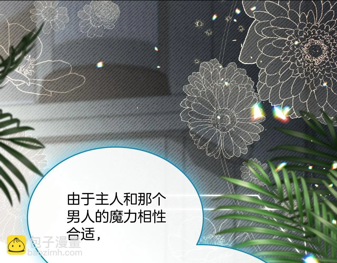 第二季完结篇 她会回来的 第36页