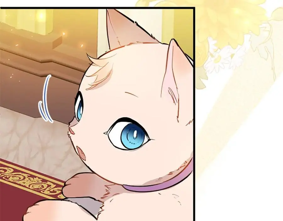 第70话 解除婚姻 第106页