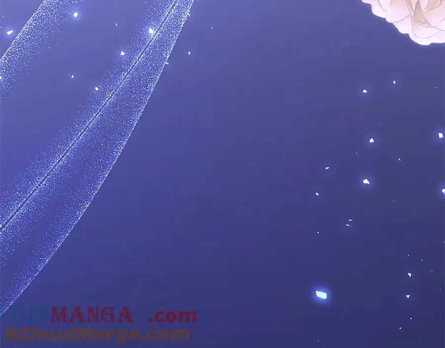 第78话 难以言明的情感 第221页
