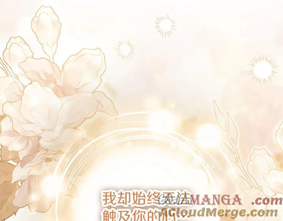 第103话 关注你最久的人 第185页