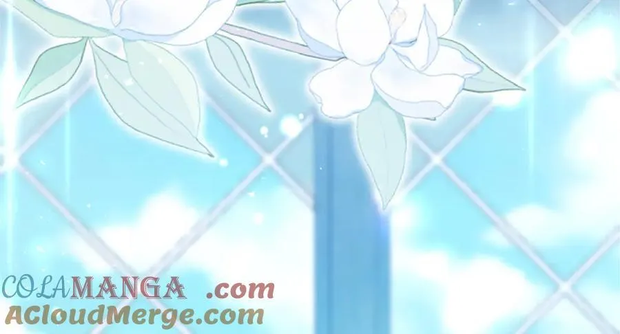 第110话 新婚快乐 第13页