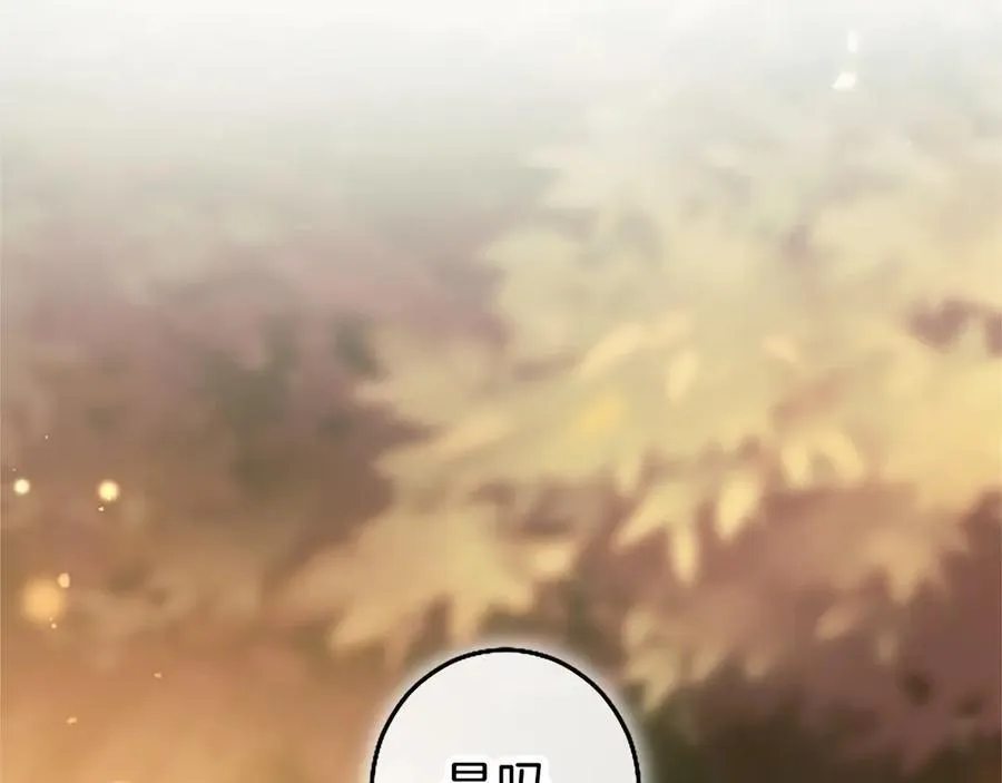 第110话 新婚快乐 第243页