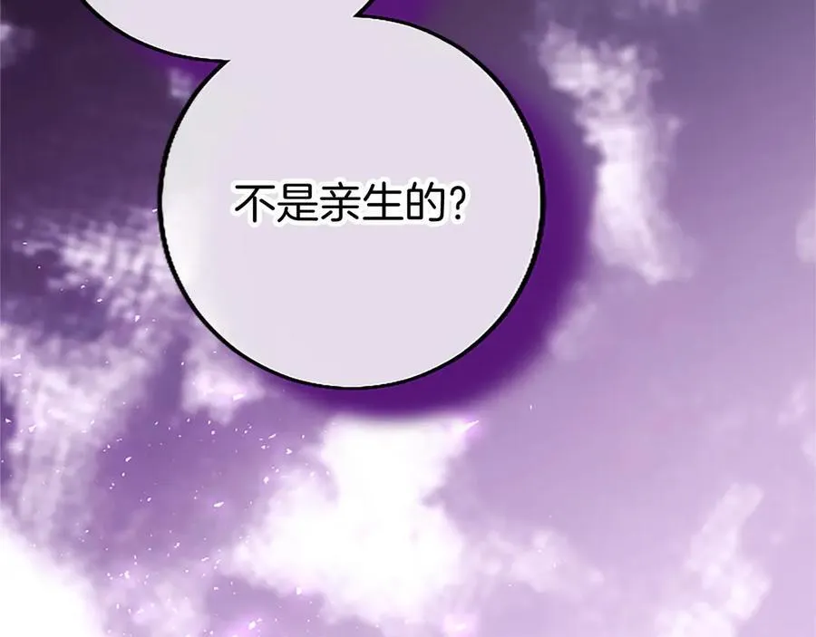 外传3 长公主的身世 第107页