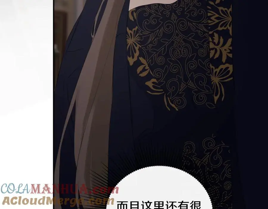 第46话 皇帝的剑 第9页