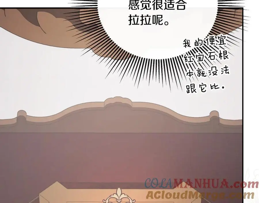 第46话 皇帝的剑 第29页