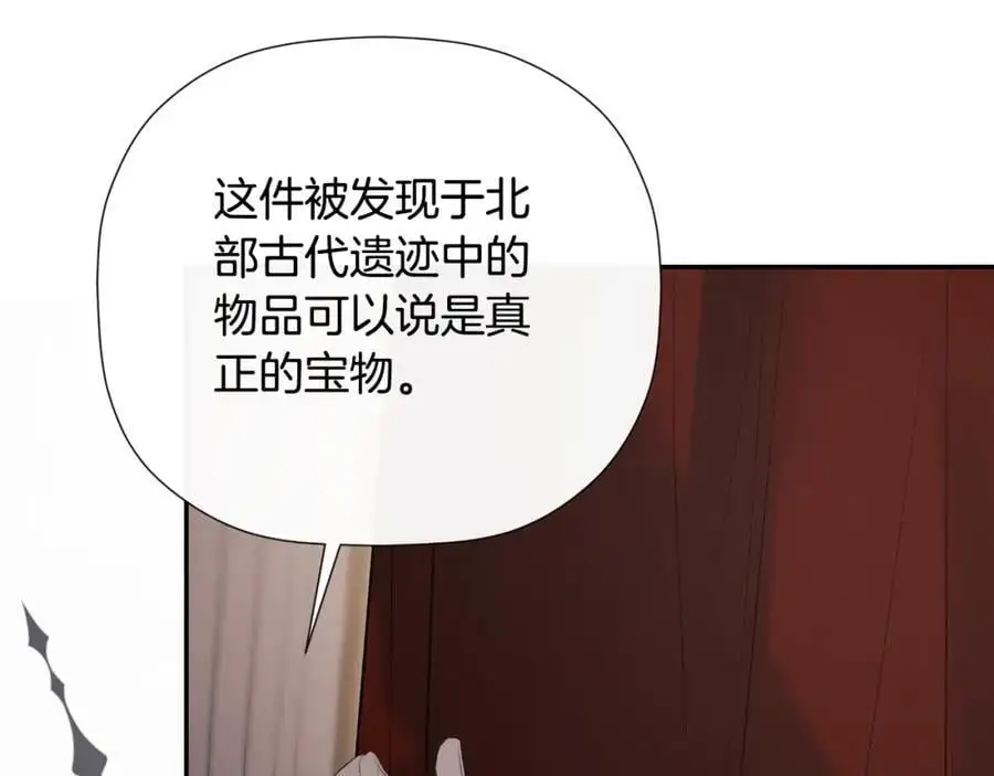 第46话 皇帝的剑 第132页