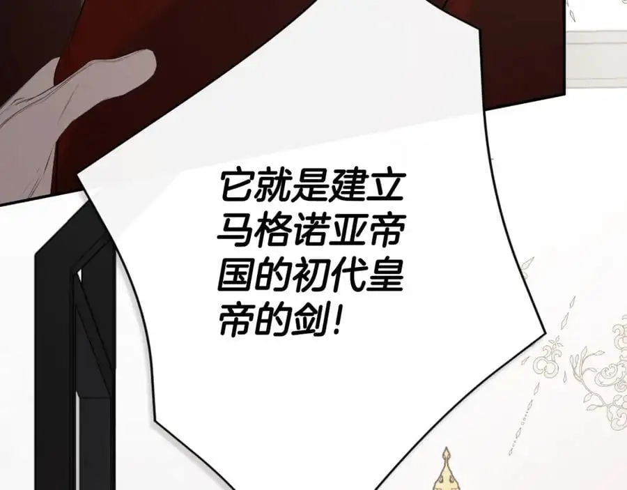第46话 皇帝的剑 第135页