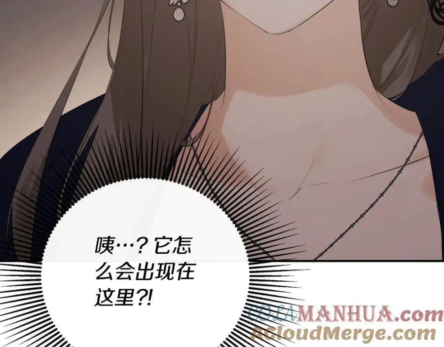 第46话 皇帝的剑 第141页