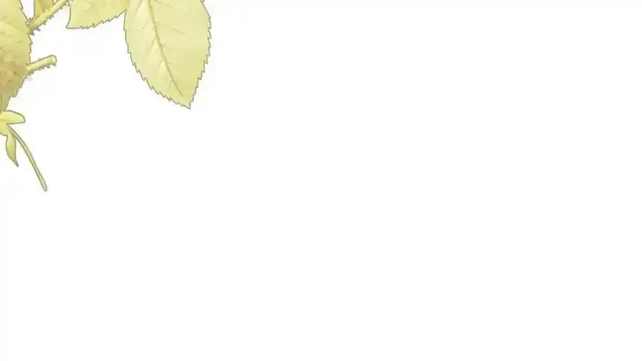 第50话 摇篮曲 第110页