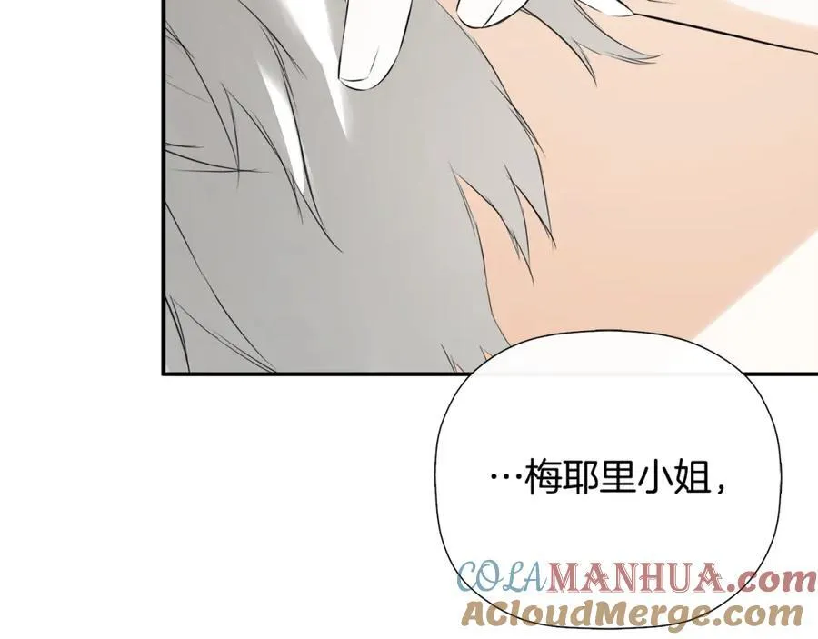 第1季完结篇 摇篮曲 第37页