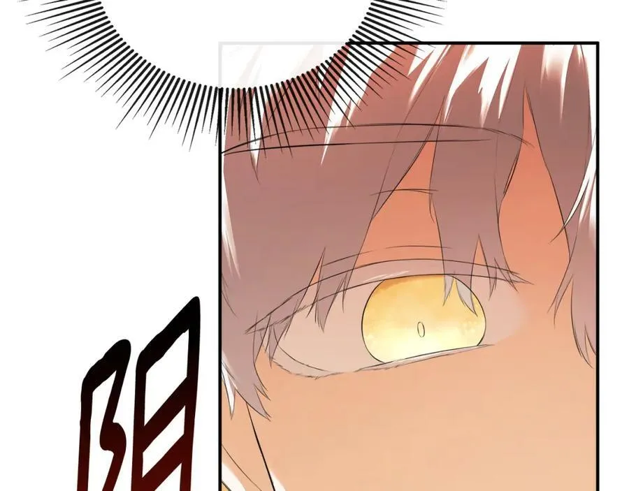 第55话 潜入计划 第186页