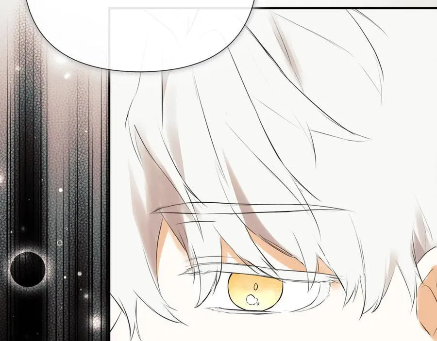第65话 看向你的视线 第62页