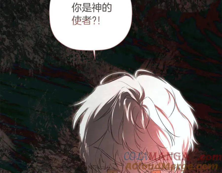 第88话 阻止灾祸 第141页