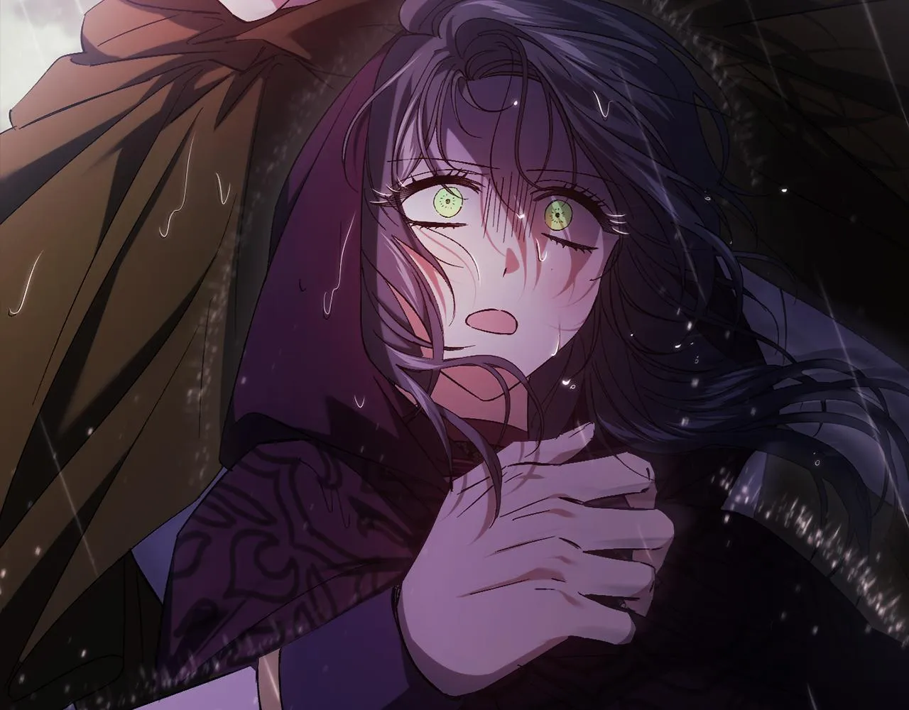 第36话 双胞胎的差异 第216页