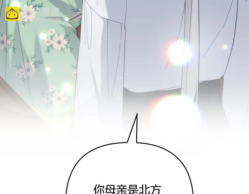 第53话 母亲的日记本 第102页