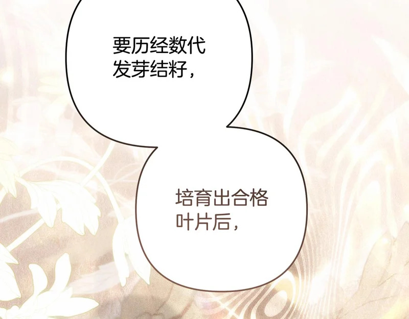 第54话 发现一颗种子 第149页