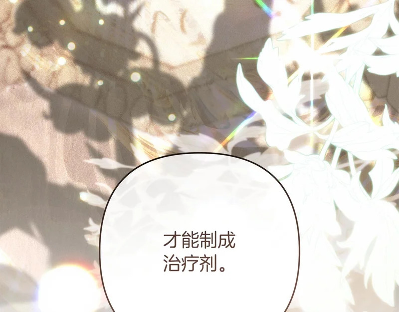第54话 发现一颗种子 第152页
