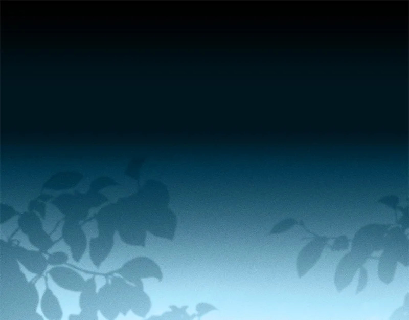 第58话 为皇帝的罪行作证 第29页