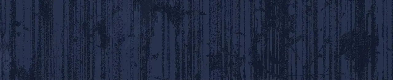 第51话 兄弟相见 第65页