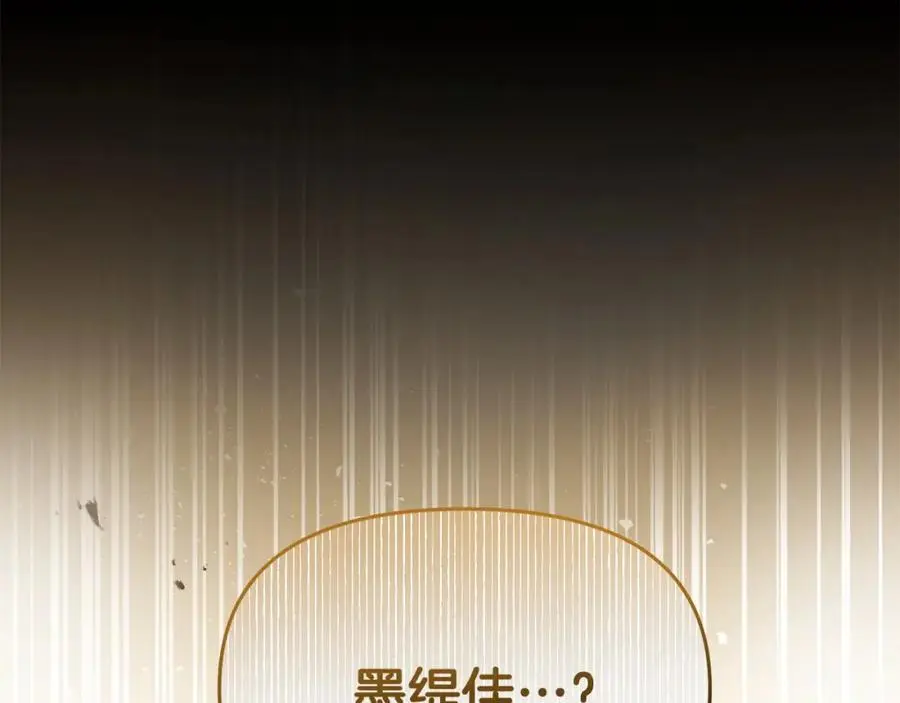 第64话 再拼一次 第206页
